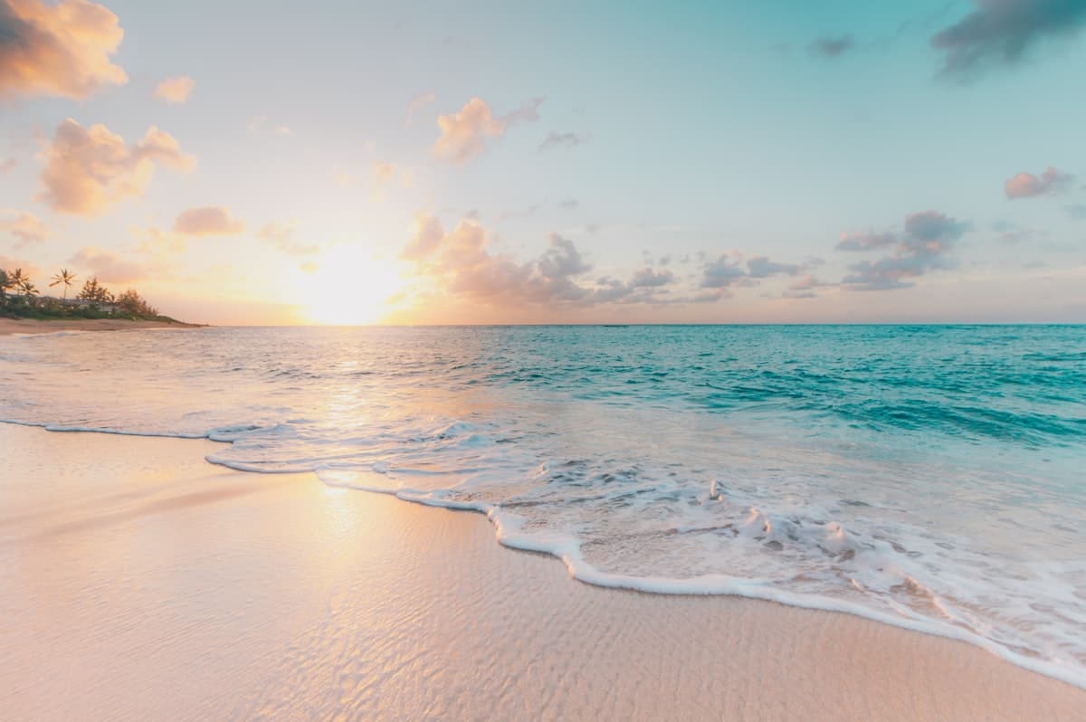 Beachfront Bliss